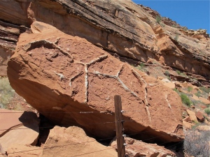 The white lines in this rock are mud cracks. They form in fine clay material that has dried out. As the moisture is removed, the surface will split into cracks that extend a short way down into the mud. Later sediments can fill in the cracks and are preserved. Geologists can tell what the original orientation of the rock was using mud cracks.